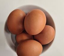 Яйцо куриное вареное