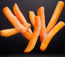 vp1
