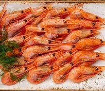 Креветки Северные