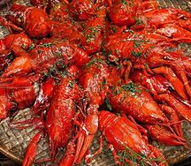Вареные раки средне-крупные