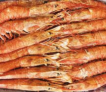 Лангустины с головой