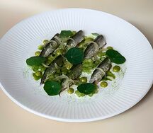Балтийская килька