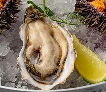 Устрица Жилардо Франция