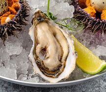 Устрица Фин де Клер Франция