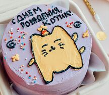 Бенто-торт Котик