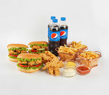 Mars Family Lanch A 3