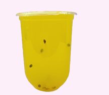 Лимонад Манго-маракуйя c джус-боллами