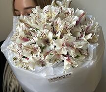 15 альстромерий