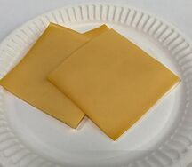 vp1