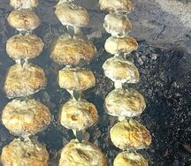Грибы на мангале